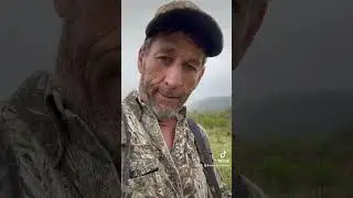 Henned up gobbler- easy&hellip;..   FOLLOW to see longer vids and more Turkey Hunting Tricks!
