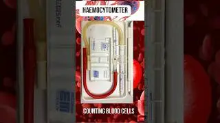 Haemocytometer#Blood cell counter# Haematologylab