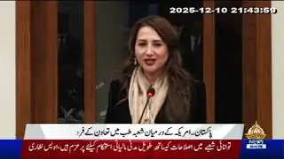Deputy Chairman Senate welcomed the American medical delegation, US CDA Natalie Bake participated