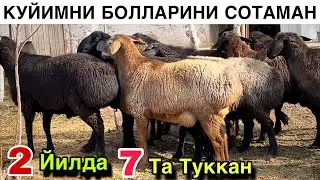 ДЕХКОНДАН СОТИЛАДИ! ☎️+998 91 956 1777