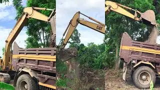Excavator move to new place with forest so small  Ep 080