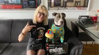 NYC LIVE Hudson the Dog 10th Birthday Celebration & LEGO Trafalgar Square Build April 10, 2022