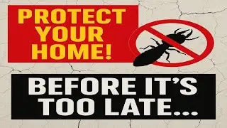 How to Protect Your Home from Termites | Early Signs, Treatment & Prevention Tips
