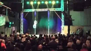 Hila Hassidim - Pole Art Israel 1.2016