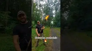 Naturalna leśna pochodnia.