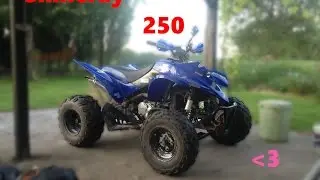 test quad shineray 250 |CrazyMoto|
