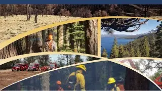 Virtual Special Districts Tour - Mitigating Wildfires and Protecting our Forests, Watersheds & Com