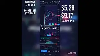 Daily Live Stock Alerts