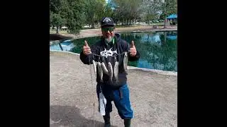 Centennial Park Santa Ana California. rainbow trout limits...