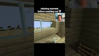 Minecraft Relaxing Moment