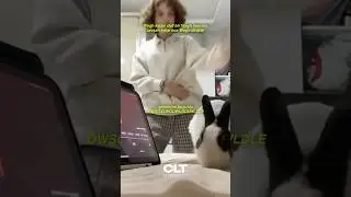Wegh Dinleyen Tavşan!?!?