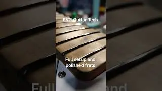 5 string Music Man Stingray
