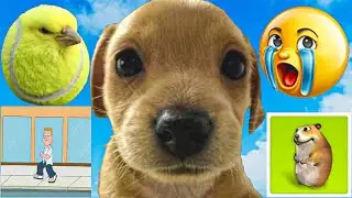 Как получить ВСЕ 5 НОВЫХ МЕМОВ И ЗНАЧКОВ в Find the Memes 2 [850] Roblox
