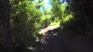 FREE FLOW MX