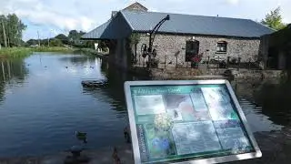Virtual History Tour Of Naas With Larry Breen