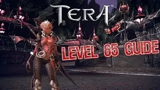Tera Console &mdash; что делать на 65-м уровне | Пошаговое руководство