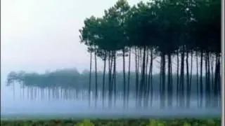 I&acute;m Not a Gun - Ripples In The Water