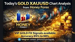 Gold XAUUSD Today Analysis | Key Levels, Support Resistance & Next Target | Honey Forex