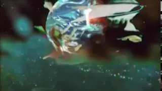 Post Animal - Goggles