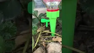 Self Watering System For Plants |  Self Watering Spikes For Plants |  Easiest Self Watering System