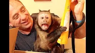 Monkey Monday Mail Vlog! AquaBot Winners