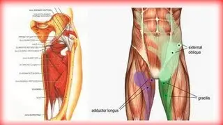 Groin rehab and prehab for groin pain and groin pull.