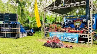 Live Jaranan Santri Budoyo‼️ Lokasi Purboyo - Tajinan❗️