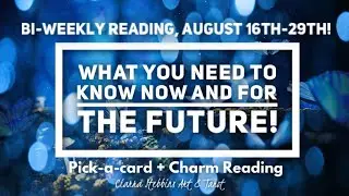 Bi-Weekly Reading! August 16th-29th! // Pick-a-card + Charm Reading!