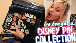 We bought a Disney Pin Collection!