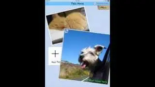 Petunia (Quick Intro): Record and Share Your Pet Health Information (v1.3)