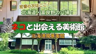 【富良野観光物語】vol.287 定番の次はココ！北海道 富良野の穴場！猫と会える美術館 北海道風景画館 #富良野 #北海道 #猫