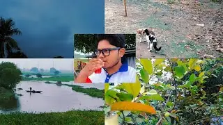 ছোট্ট একটা দিনের দারুণ কিছু মুহূর্ত। ✨