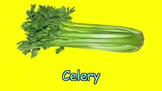 High Speed Flash Card - Vegetables; Heguru, Shichida; Right Brain Stimulation Training