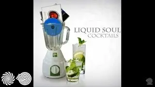 Liquid Soul - Lost Gravity