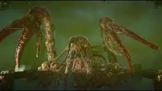 Patient 13 Boss Fight - Black Ops 6 Zombies