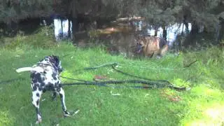The paddocks park 2011-12-04