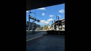 Adam Rosenberg в прямом эфире!