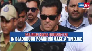 Salman Khan convicted in Blackbuck poaching case: A Timeline