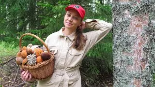 ГРИБЫ ВЫДЕРНУТЫЕ С 
