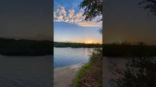 Beautiful Florida scenery 😍