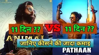 pathan vs animal day 11 world wide box office collection and advance booking of day 12