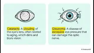 A Guide to Eye & Ear Health