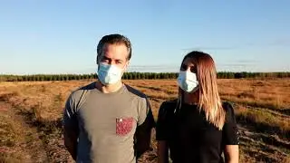 Landes : repeuplement de la for&ecirc;t communale de Taller .