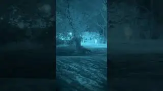 L3Harris Unfilmed White Phosphor Night Vision in a Suburban Environment