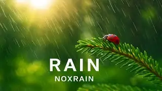 Rain &mdash; NoxRain | Deep House 2025 with Spring Rain & Nature 4K Visuals 🌧️🌸