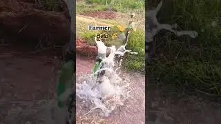 farmer #ts#ap#trending#like #farmer #farm #farmlife #comment #youtube #ytshorts #subscribe #youtuber
