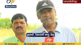 Environmental Impact Of Agriculture | Centre Team Visit In Mahabubnagar District