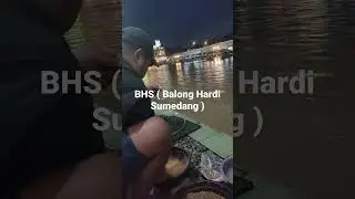 Galatama ikan mas | video shorts | Balong Hardi Sumedang | BHS