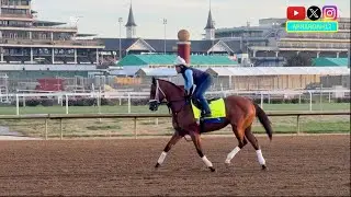 Coal Battle, Admire Daytona Breeze on Busy Training Day: 2025 Kentucky Derby Training 4/22/25