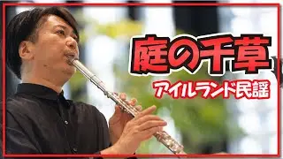アイルランド民謡:庭の千草(オークラウロ・ギター)朝♪クラ～Asa－Kura～